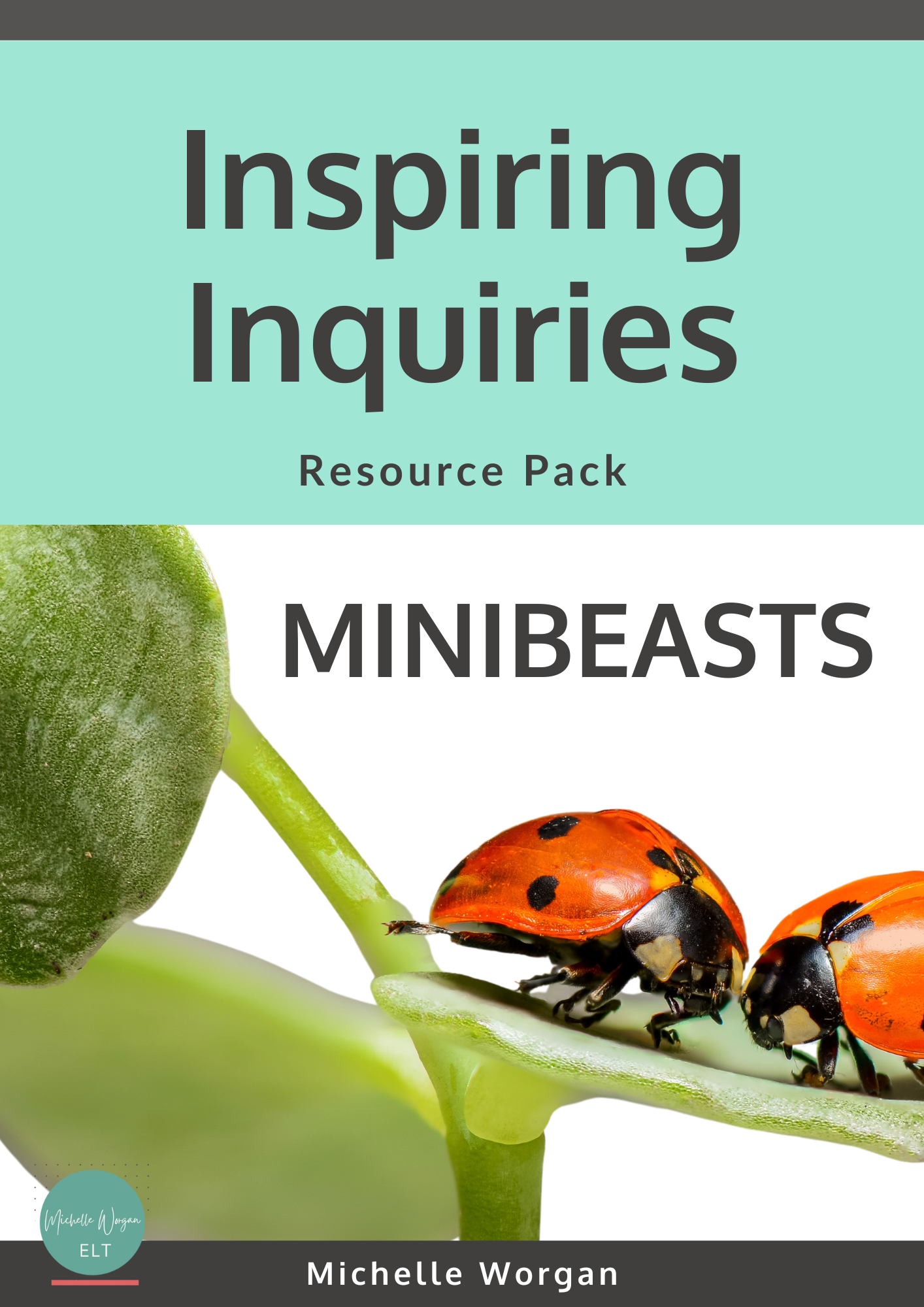 Cover of Inspiring Inquiries resource pack 2: minibeasts