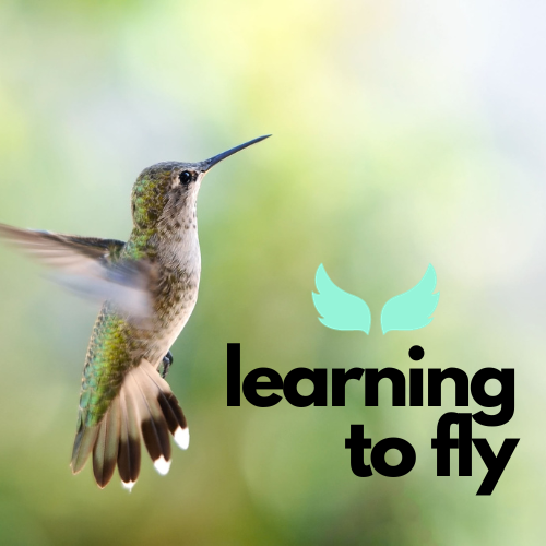 Learning to Fly: a hummingbird mid-flight on a blurred green background